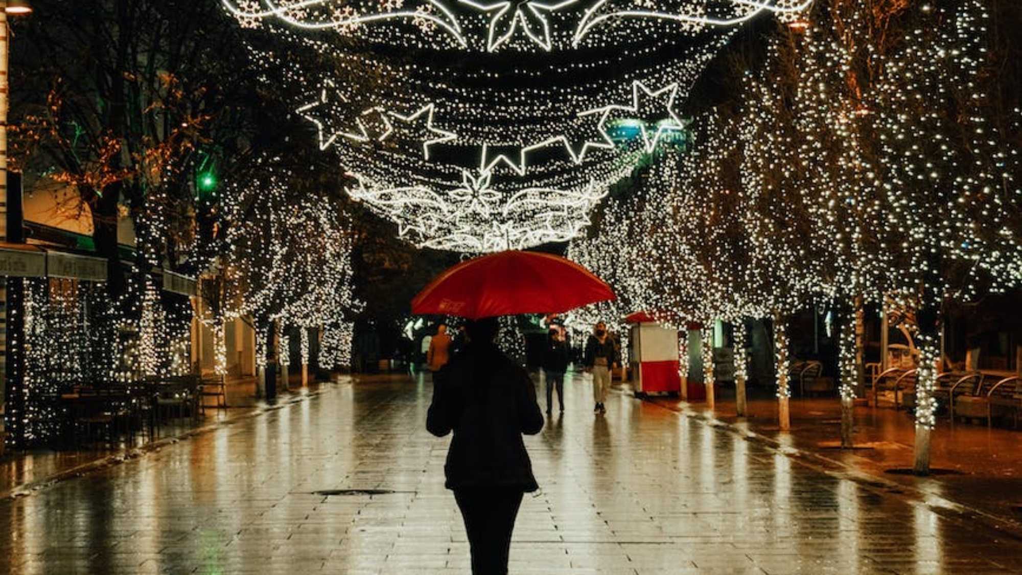 Photo by u015eenad Kahraman on Pexels.com