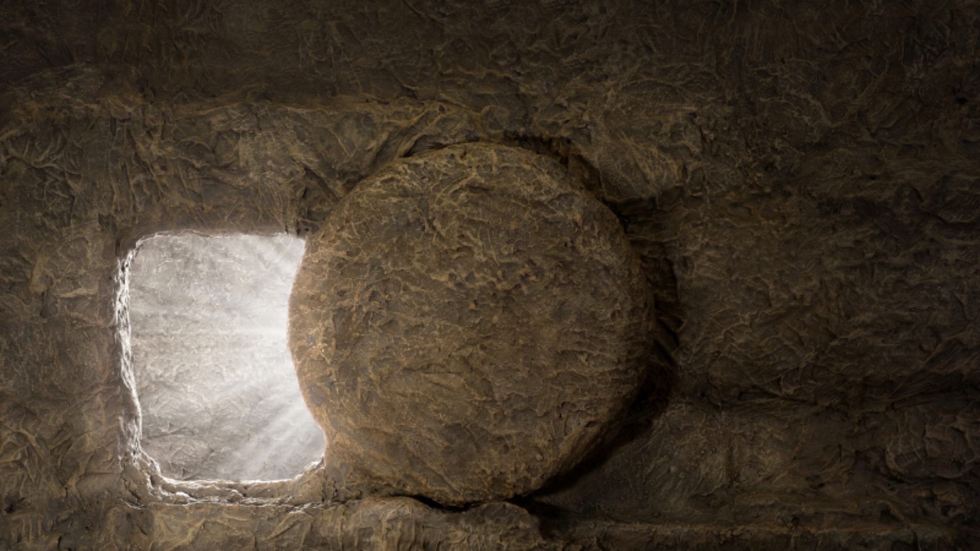 Untitled (Blog Graphic) (1)