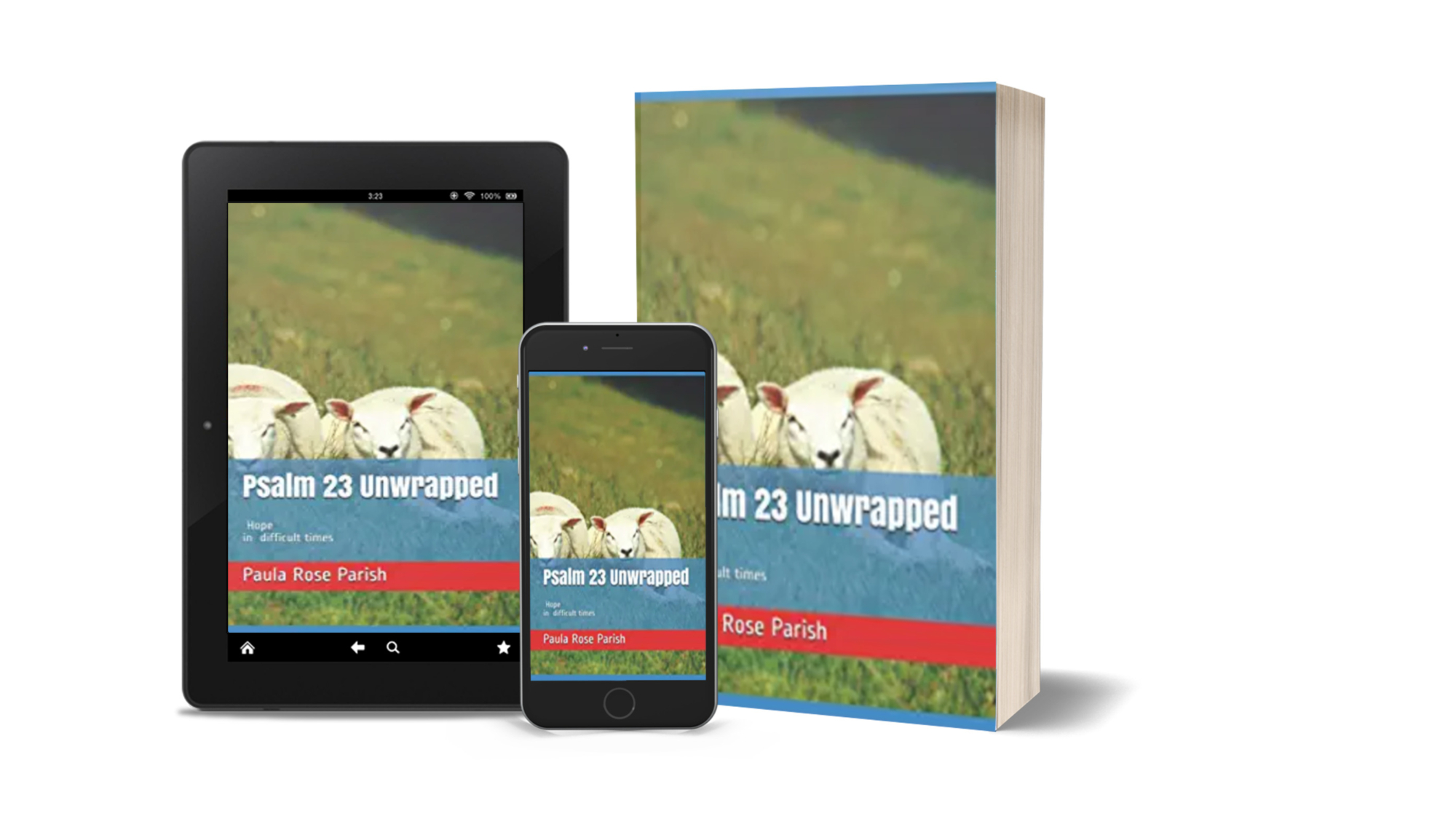 psalm23unwrapped3Dcover