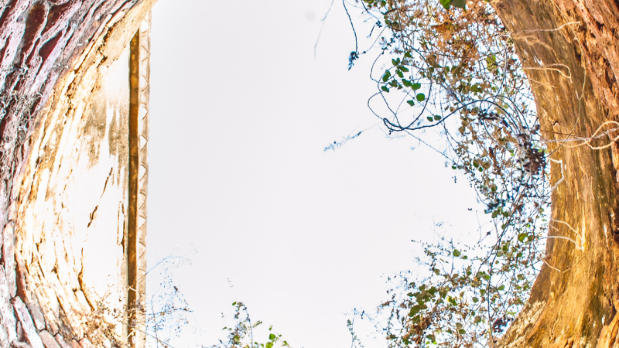 Untitled (19 × 23cm) (YouTube Thumbnail) (Instagram Post) (Blog Graphic)