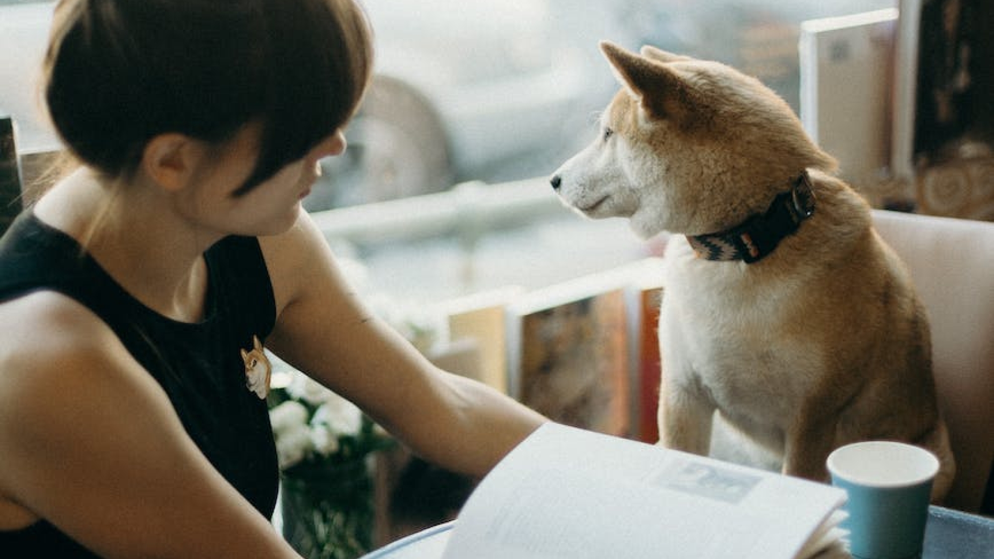 Photo by cottonbro studio on Pexels.com