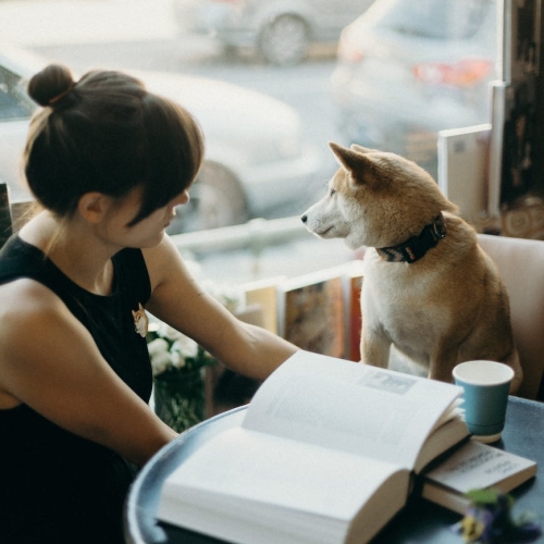 Photo by cottonbro studio on Pexels.com