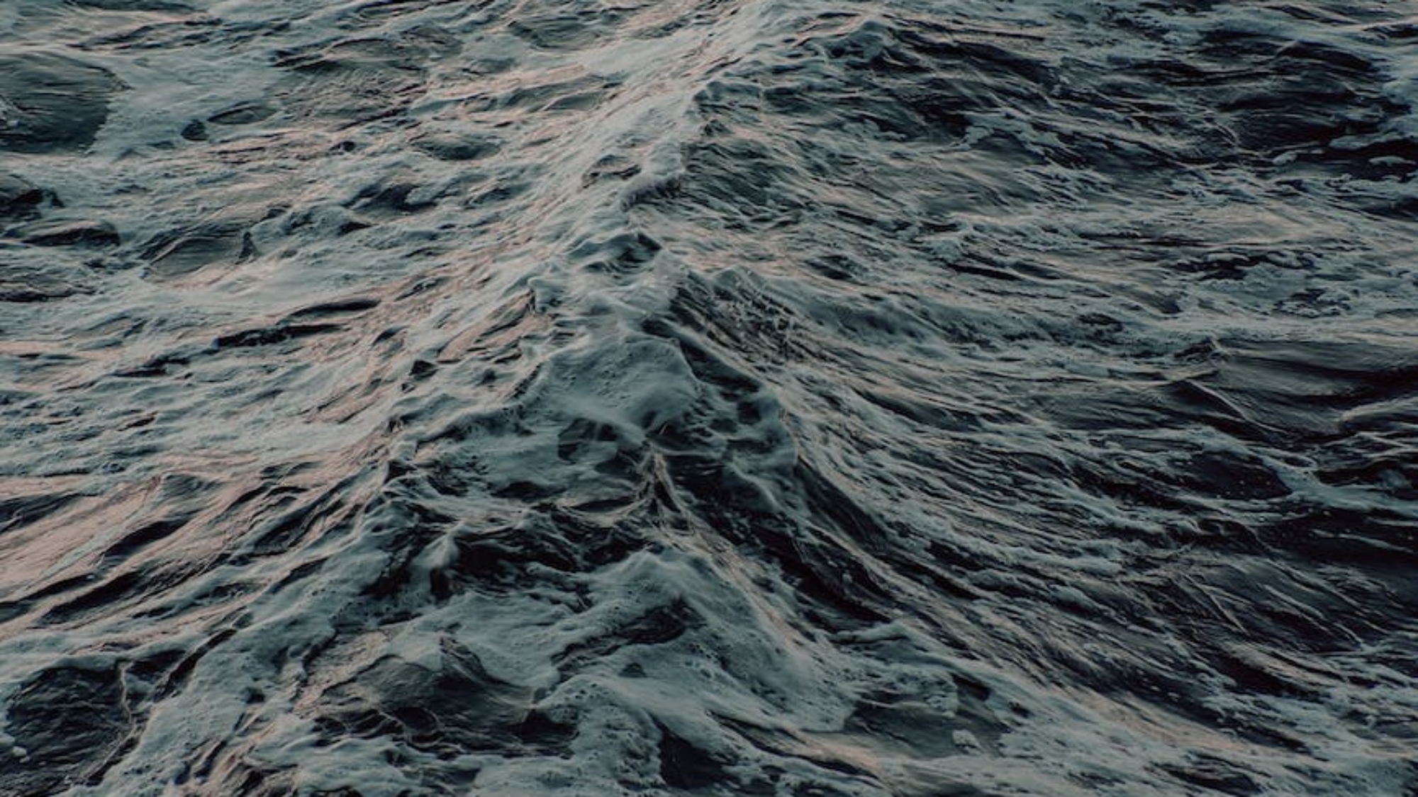 Photo by Ave Calvar Martinez on Pexels.com