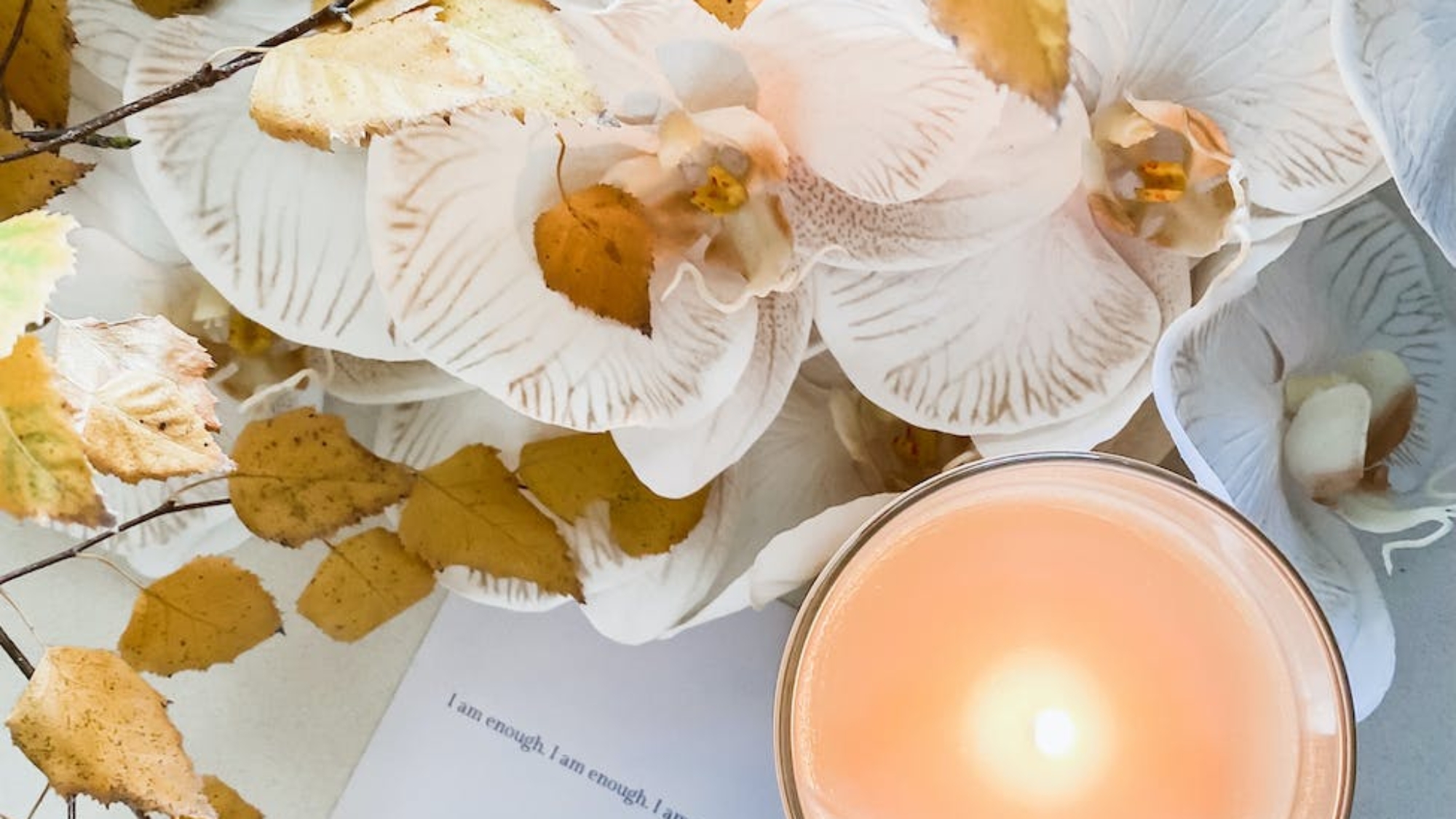 Photo by Studio Naae on Pexels.com