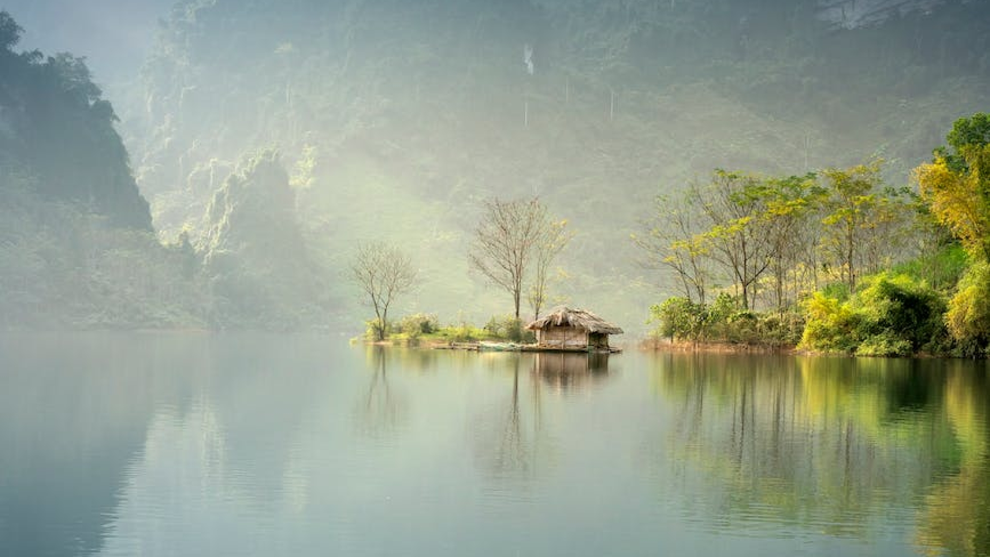 Photo by Quang Nguyen Vinh on Pexels.com