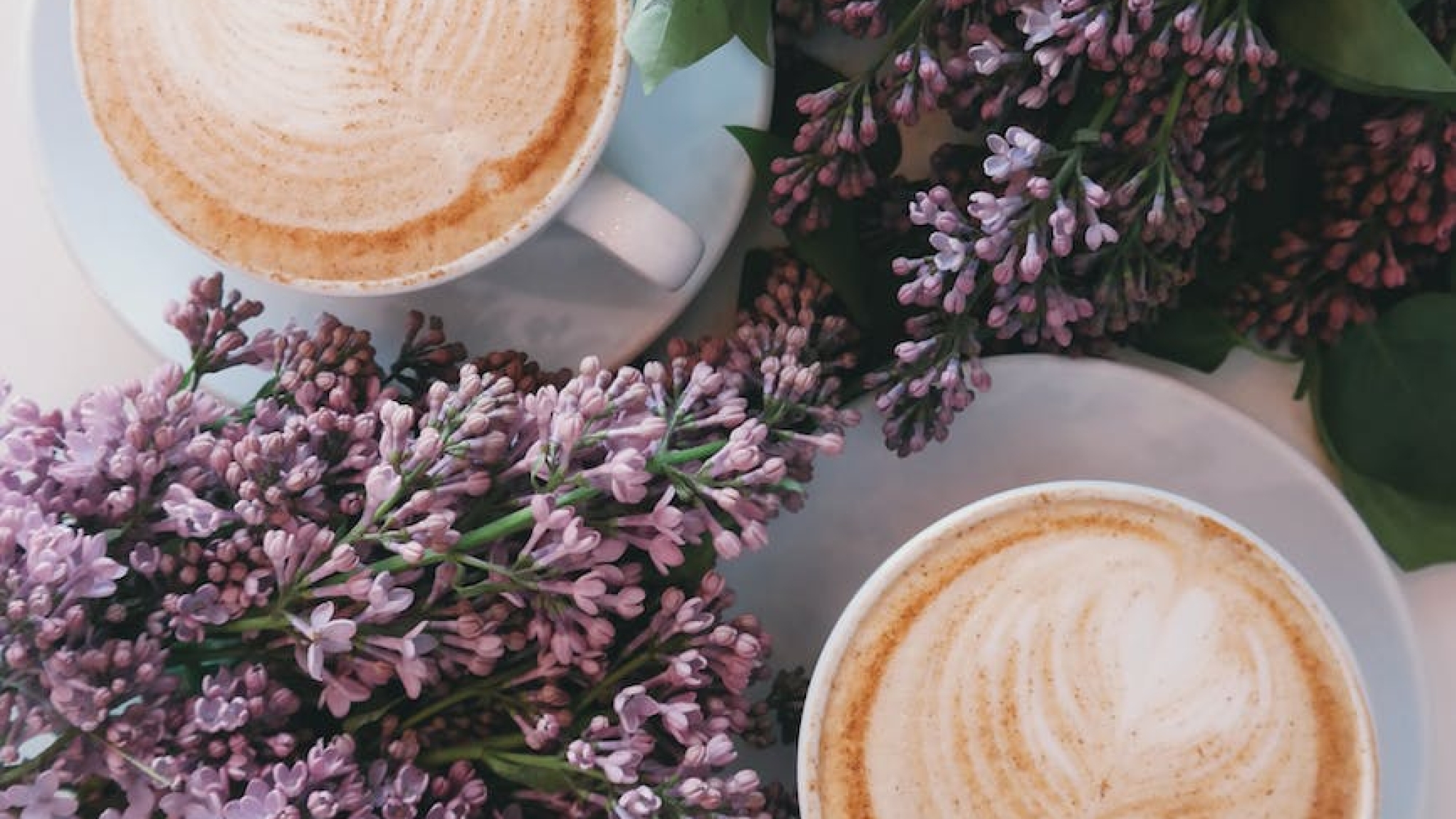 two cup of coffee lattes on saucers