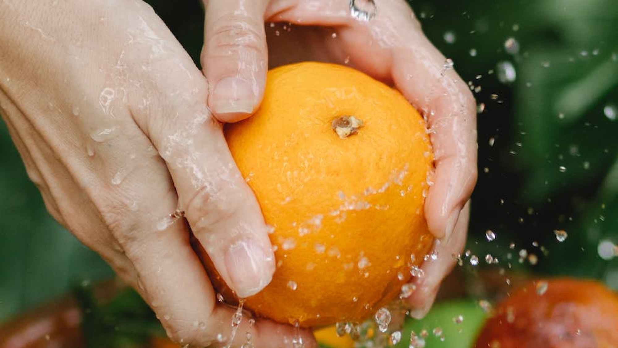 Photo by Any Lane on Pexels.com