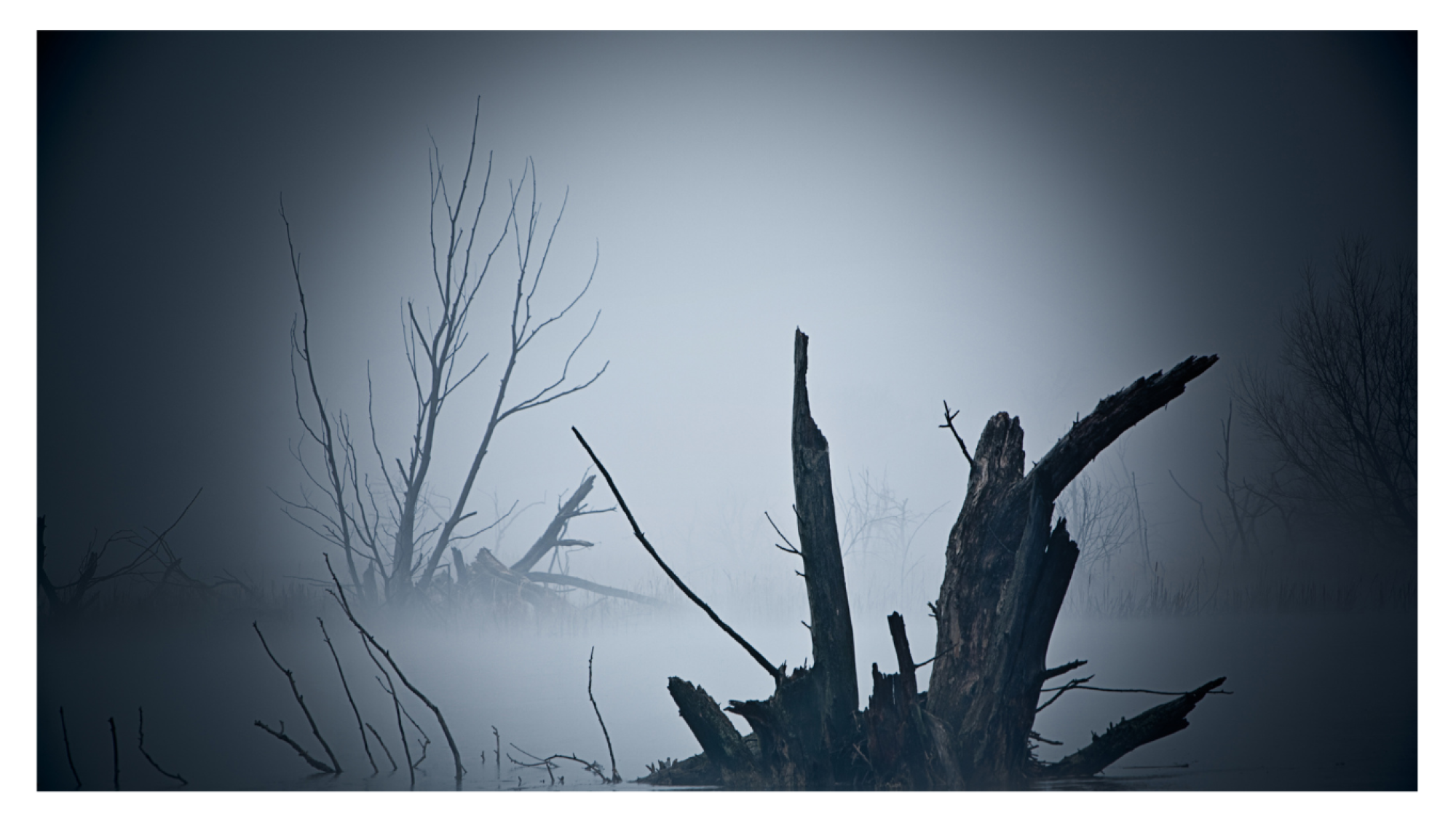 dark waters (Website)